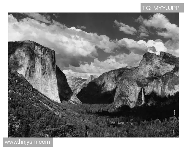 亚当斯：探索科学与人文交汇的智慧之旅与未来展望
